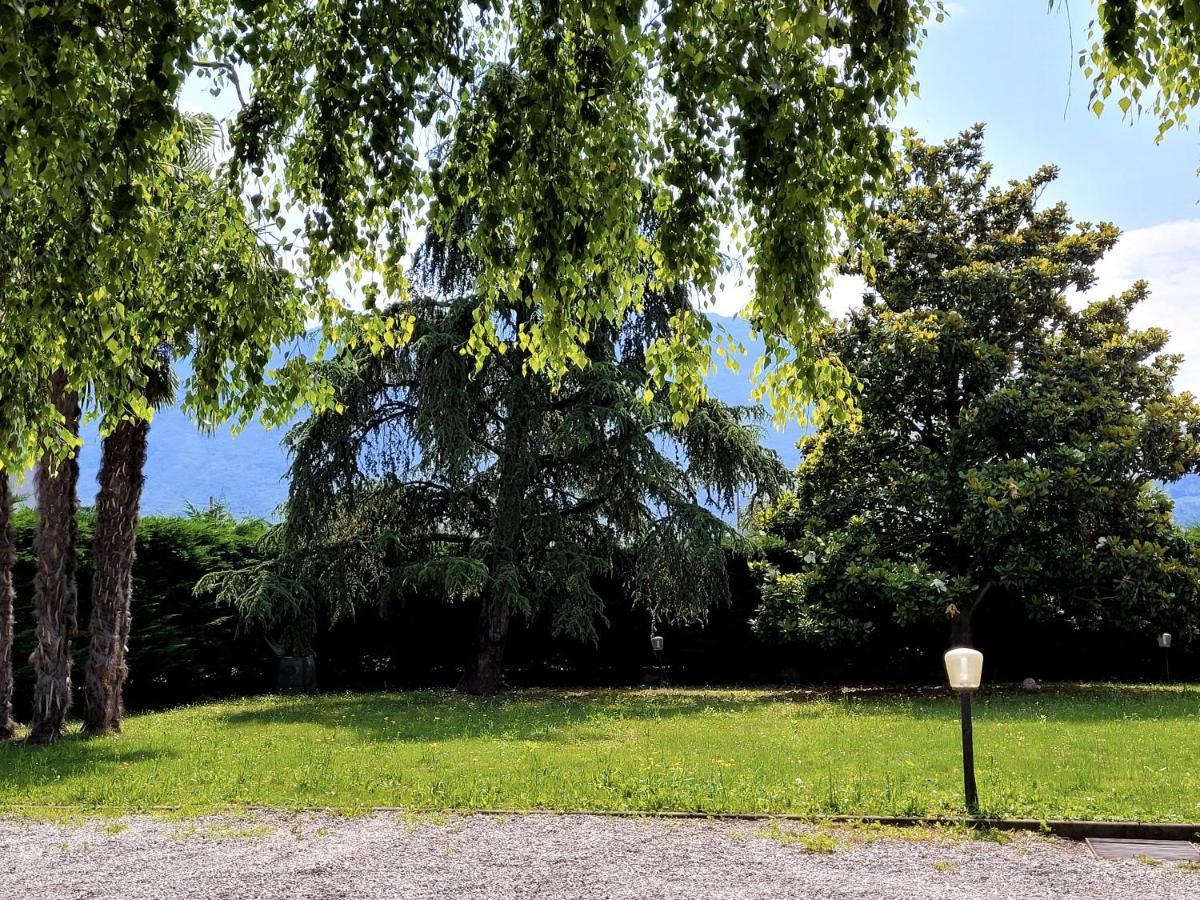 La Betulla Daire Arco Dış mekan fotoğraf